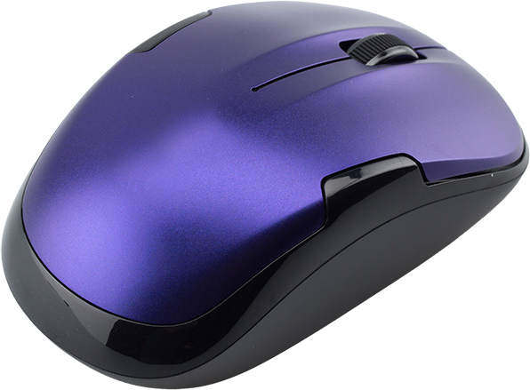 PG Mouse 001